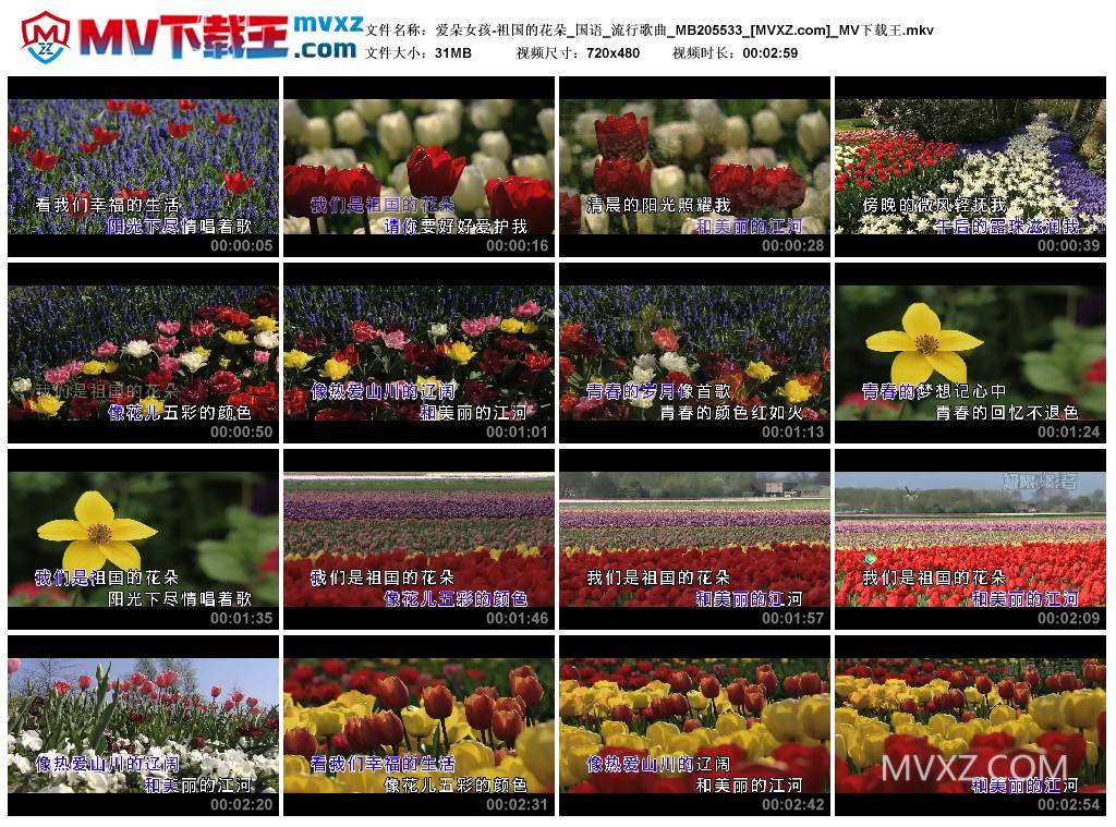 爱朵女孩-祖国的花朵_国语_流行歌曲_MB205533